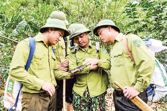 Nghệ An là địa phương có diện tích rừng lớn với gần một triệu héc-ta, việc ứng dụng công nghệ trong phòng, chống cháy rừng là rất cần thiết.