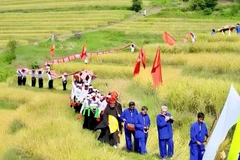 Nhiều nghi thức văn hóa đặc sắc của người dân tộc Mường được thực hiện tại lễ hội.