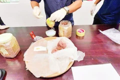 Ma túy giấu trong hộp mắm tôm do Hải quan Chuyển phát nhanh phát hiện, bắt giữ. (Ảnh CH)