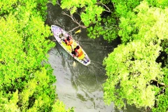 Du lịch sinh thái là thế mạnh của vùng Cần Giờ. (Ảnh THẾ ANH)