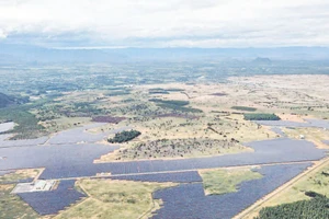 Các nhà máy phát điện trên địa bàn tỉnh Lâm Đồng đang cung cấp sản lượng 31,6 tỷ kWh/năm với tổng công suất nguồn phát điện là 6.520 MW, chiếm tỷ lệ 8% công suất nguồn phát điện của cả nước.