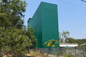 Ngành nuôi chim yến ở Quảng Ngãi đã có bước phát triển, tạo nhiều công ăn việc làm và nguồn thu lớn cho người dân.