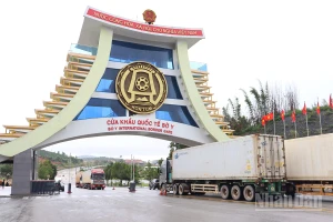 Tỉnh Quảng Ngãi yêu cầu phòng, chống dịch bệnh do virus Nipah ngay từ cửa khẩu.