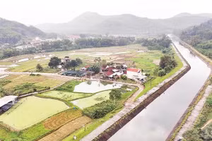 Xã Phú Ninh, thành phố Đà Nẵng tiến tới đạt chuẩn xã nông thôn mới nâng cao vào năm 2030.