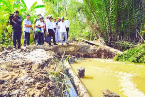 Ngành chuyên môn Cần Thơ khuyến khích người dân tham gia bảo vệ bờ sông bằng các biện pháp tự nhiên như trồng cây chắn sóng tại những khu vực có bãi bồi.