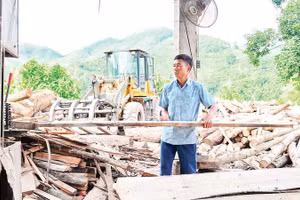 Ông Phùng Thế Tài tại xưởng chế biến gỗ ở thôn Mạ 1, xã Bảo Yên, tỉnh Lào Cai.