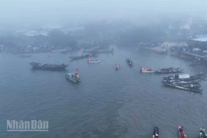 Khu vực xảy ra tai nạn.