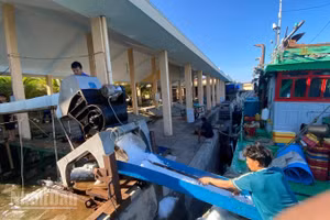 Huế rà soát, chấn chỉnh để cùng ngư dân cả nước gỡ cảnh báo "thẻ vàng" IUU của Ủy ban châu Âu (EC)