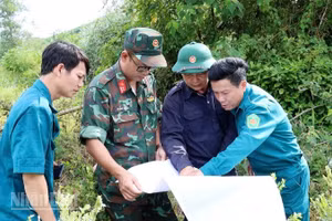 Lực lượng tìm kiếm khoanh vùng, xác định tọa độ nghi có mộ liệt sĩ theo thông tin. (Ảnh: DƯƠNG QUANG TIẾN)