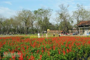 Tết Phú Xuân - Sắc vị Kinh kỳ hút khách từ những ngày mới chuẩn bị.