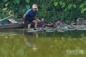 Người đàn ông 78 tuổi ở Huế vừa phải học lại bài học bảo vệ cảnh quan chung.