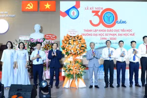 Khoa Giáo dục tiểu học, Trường đại học sư phạm Huế hiện có 21 cán bộ, giảng viên. Trong 30 năm qua đã đào tạo, bồi dưỡng hàng nghìn giáo viên tiểu học cho khu vực miền trung-Tây Nguyên và cả nước.