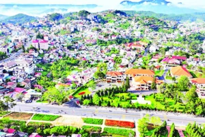 Khu vực trung tâm tỉnh Lâm Đồng.