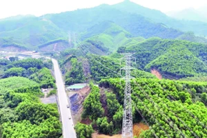 Nhờ sự vào cuộc tích cực của chính quyền các cấp và sự đồng tình, ủng hộ của người dân trong công tác giải phóng mặt bằng, dự án đường dây 220 kV Nghĩa Lộ-Việt Trì qua tỉnh Phú Thọ đã cơ bản hoàn thành.