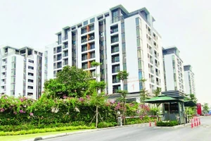 Một dự án nhà ở xã hội ở Quận 7 (cũ) vừa hoàn thành và đưa vào sử dụng.