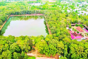 Danh thắng ao Bà Om, phường Nguyệt Hóa, tỉnh Vĩnh Long rợp bóng cây xanh.