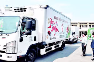 Doanh nghiệp tại tỉnh Đồng Tháp xuất khẩu xoài sang thị trường Mỹ.