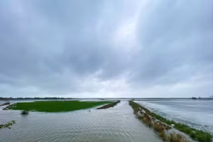 hơn 17.000ha lúa hè thu của thành phố Huế đang bị ngập nước.