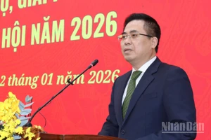 Chủ tịch Ủy ban nhân dân tỉnh Quảng Ngãi Nguyễn Hoàng Giang phát biểu tại hội nghị.