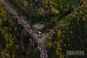 Măng Đen - Nóc nhà miền trung, trái tim xanh của tỉnh Quảng Ngãi.