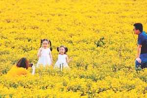 Mô hình kết hợp nông nghiệp hữu cơ - thảo dược bản địa - du lịch sinh thái tại Hợp tác xã RiTi thu hút du khách đến tham quan, trải nghiệm.