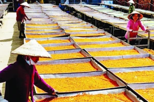 Muối phơi dưới nắng mặt trời, thành phẩm rất xốp, vị vừa ăn, ít xuống màu nhưng tốn nhiều thời gian, công sức của thợ.