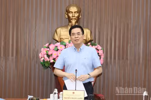 Đồng chí Nguyễn Hoàng Giang, Ủy viên Trung ương Đảng, Chủ tịch Ủy ban nhân dân tỉnh Quảng Ngãi kết luận tại hội nghị.