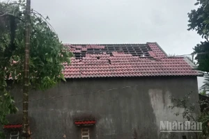 Trận lốc xoáy với cường độ mạnh bất ngờ quét qua khiến 116 ngôi nhà của người dân ở xã Ba Vì (Quảng Ngãi) bị hư hỏng.
