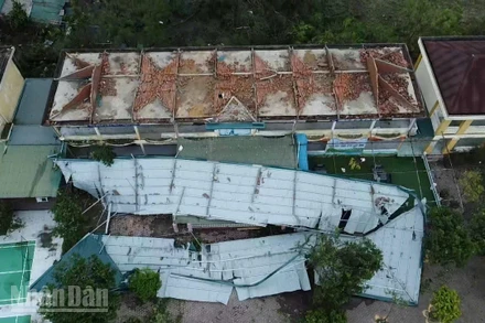 Bão Bualoi gây thiệt hại nặng nề tại Hà Tĩnh. (Ảnh: NGÔ TUẤN)