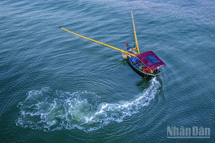 Vẻ đẹp thơ mộng bãi biển Hà Tĩnh. (Ảnh: ĐẬU HÀ)