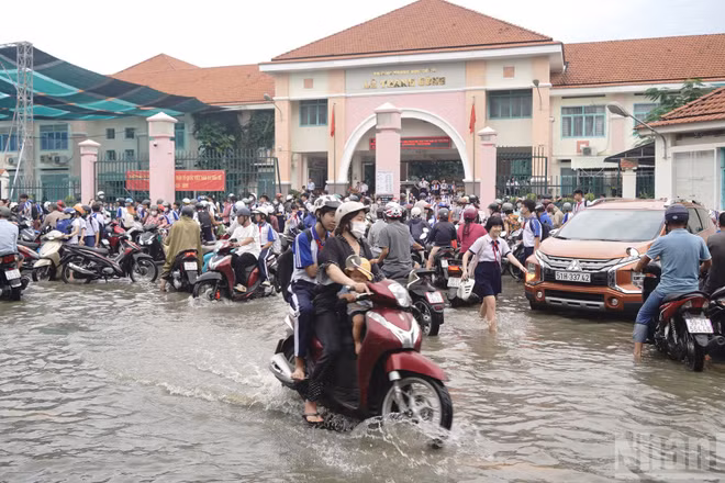 (Ảnh minh họa: THẾ ANH)