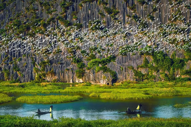 Khu du lịch sinh thái Đầm Vân Long, Ninh Bình nổi tiếng với vẻ đẹp hoang sơ, yên bình và hệ sinh thái đa dạng.