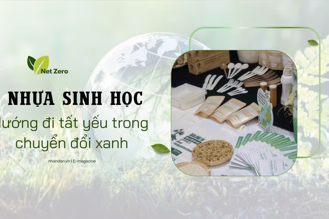 Nhựa sinh học - Hướng đi tất yếu trong chuyển đổi xanh