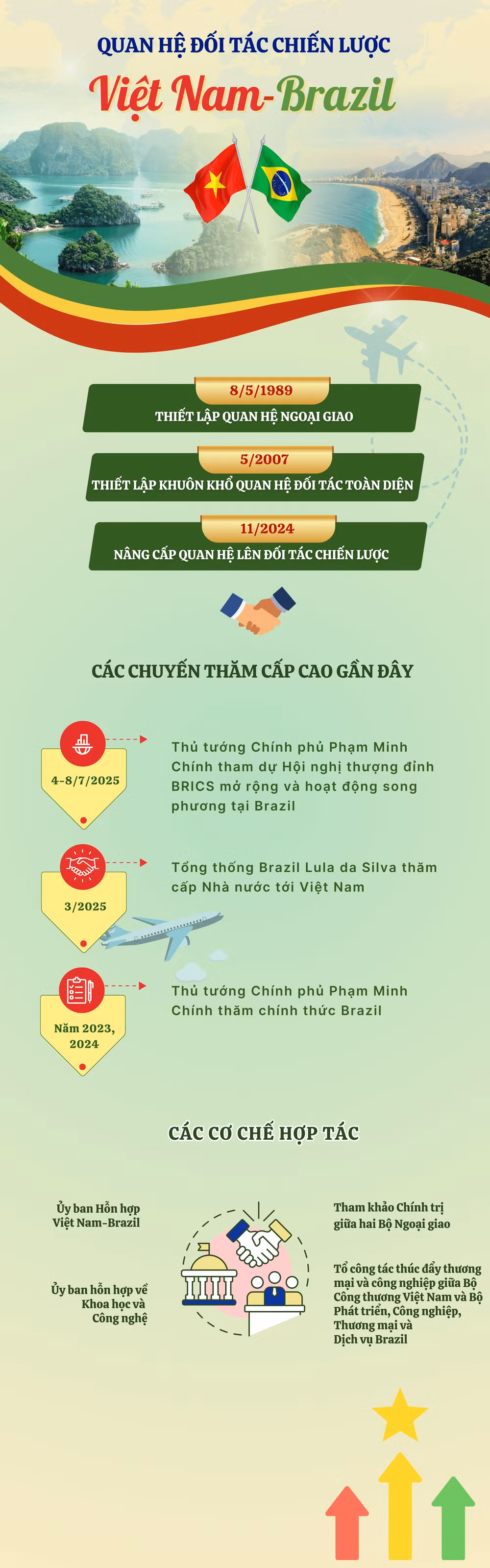 vn-infographics-2500-x-8000-px.png