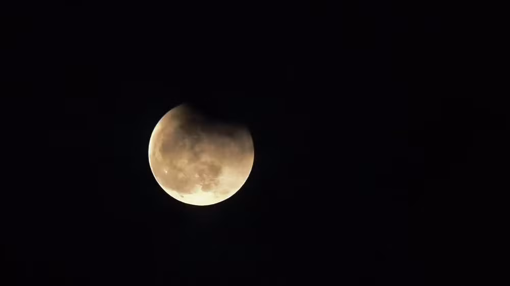e8a71400dec54cda8c75880f37611c33.jpg