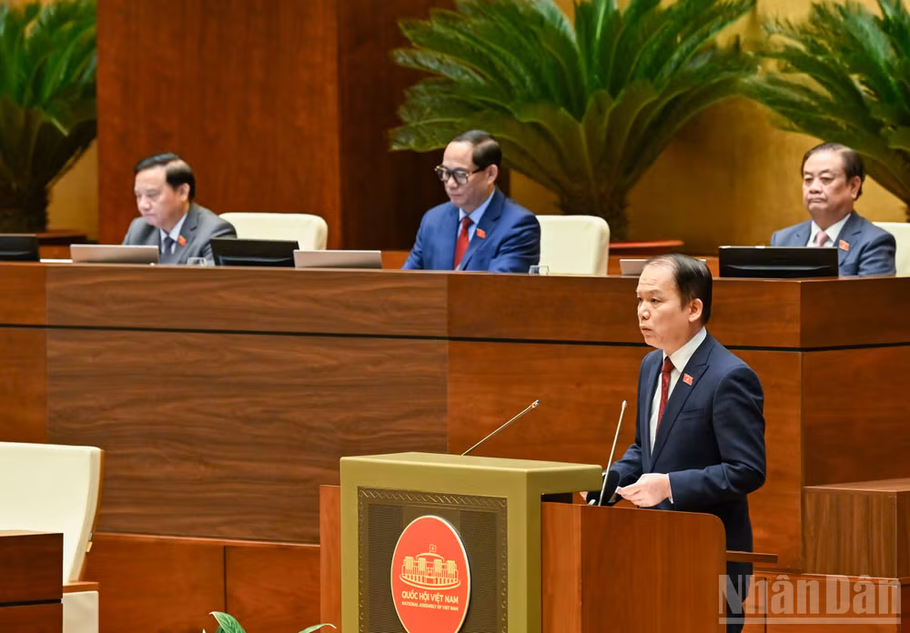 ndo_br_cn-hoang-thanh-tung.jpg