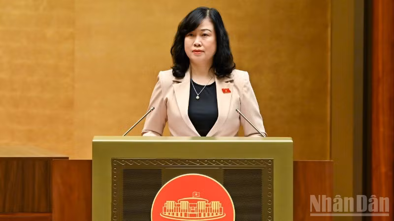 Bộ trưởng Y tế Đào Hồng Lan trình bày tóm tắt tờ trình. (Ảnh: DUY LINH)