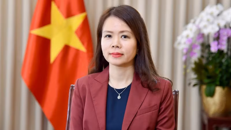 Thứ trưởng Ngoại giao Nguyễn Minh Hằng. (Ảnh: Báo Thế giới và Việt Nam)