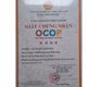 Gạo nếp bắc Quỳnh Thanh