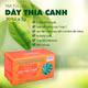 Trà túi lọc dây thìa canh