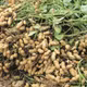 Dầu lạc Tràng An
