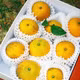 Cam Xã Đoài 
