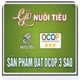 Giò nuôi tiêu