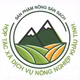 Bí thơm Khâu Tinh