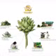 Cao nước atiso sâm Ngọc Duy