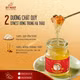 Tổ yến chưng đường phèn đông trùng hạ thảo DTNest