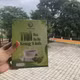 Trà hoa đu đủ Song Linh