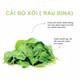 Bột cải bó xôi