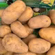 Khoai tây Hương Ngải