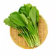 Cải ngọt hữu cơ Vinh Hà